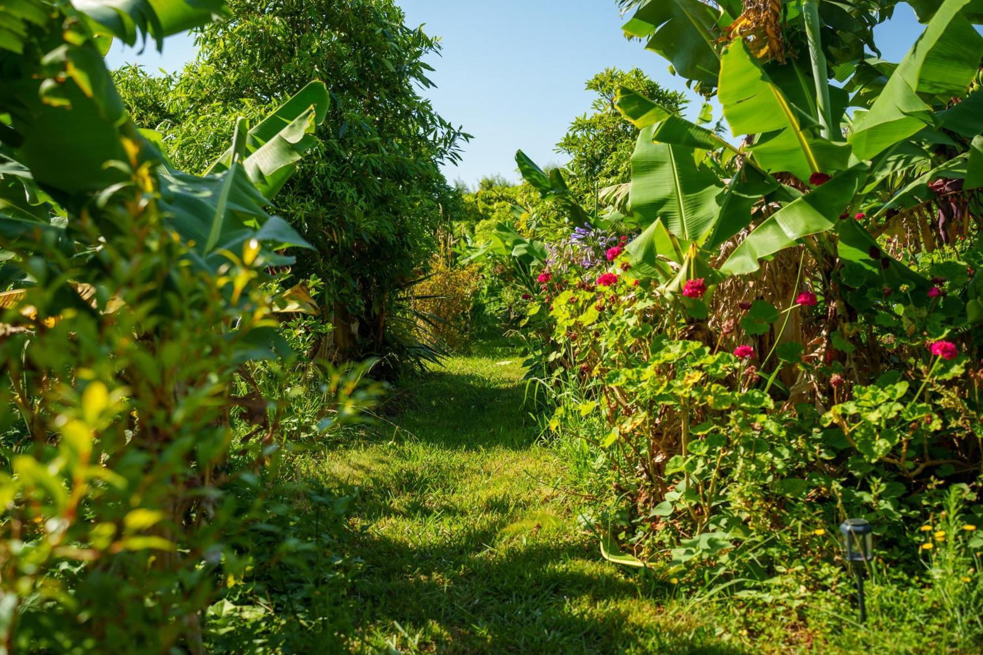 The Plantation Faial Bed and Breakfast Feteira  Εξωτερικό φωτογραφία